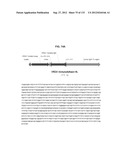 NEUTRALIZING ANTIBODIES TO HIV-1 AND THEIR USE diagram and image