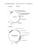 NEUTRALIZING ANTIBODIES TO HIV-1 AND THEIR USE diagram and image