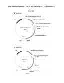 NEUTRALIZING ANTIBODIES TO HIV-1 AND THEIR USE diagram and image