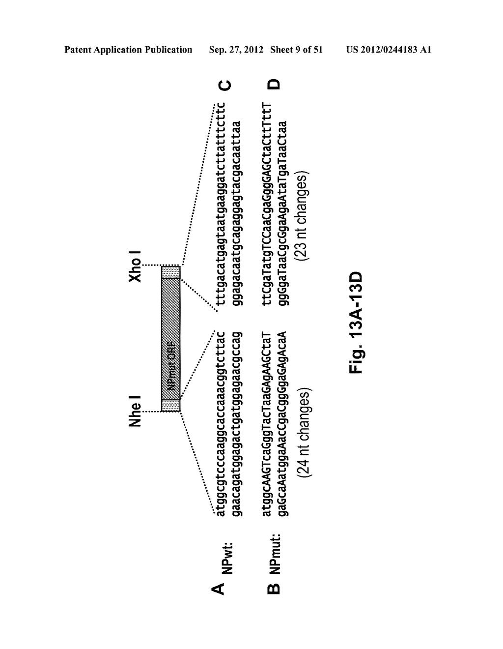 INFLUENZA VIRUSES AND USES THEREOF - diagram, schematic, and image 10