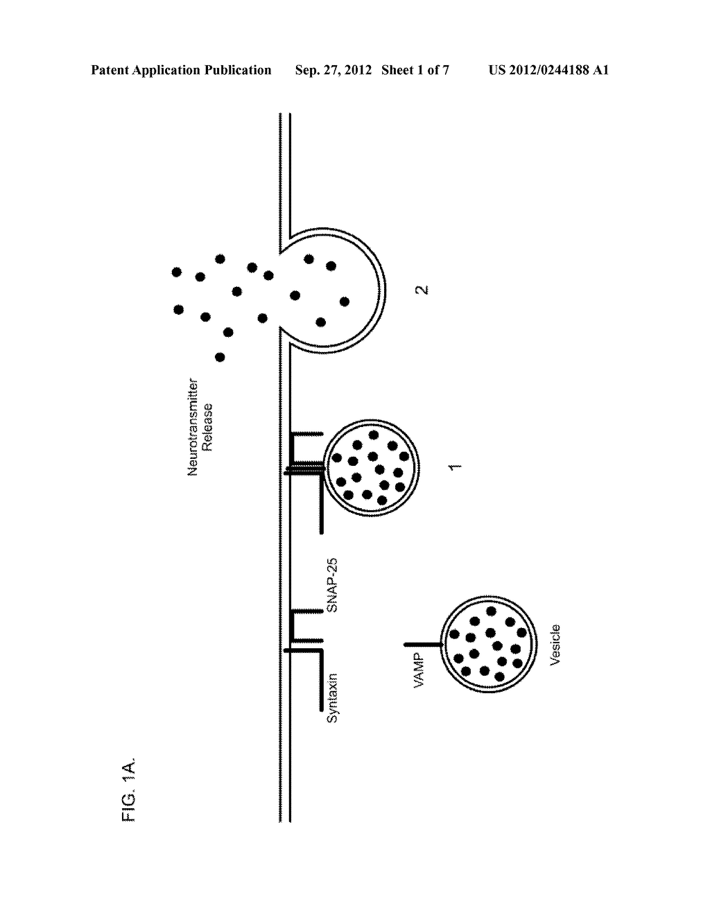 Treatment of Sensory Disturbance Disorders - diagram, schematic, and image 02