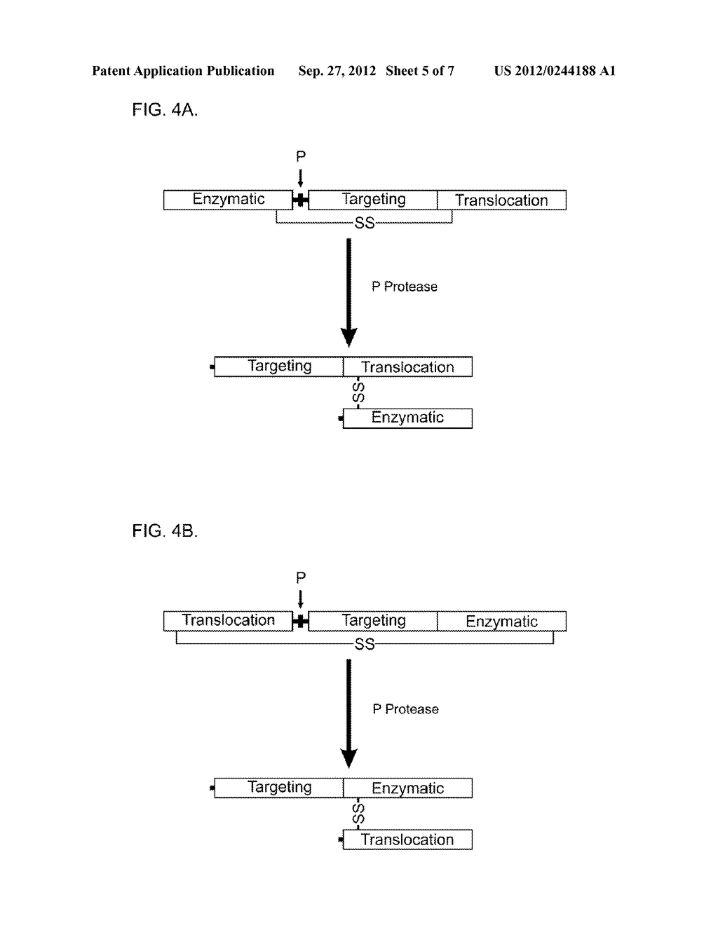 Treatment of Sensory Disturbance Disorders - diagram, schematic, and image 06