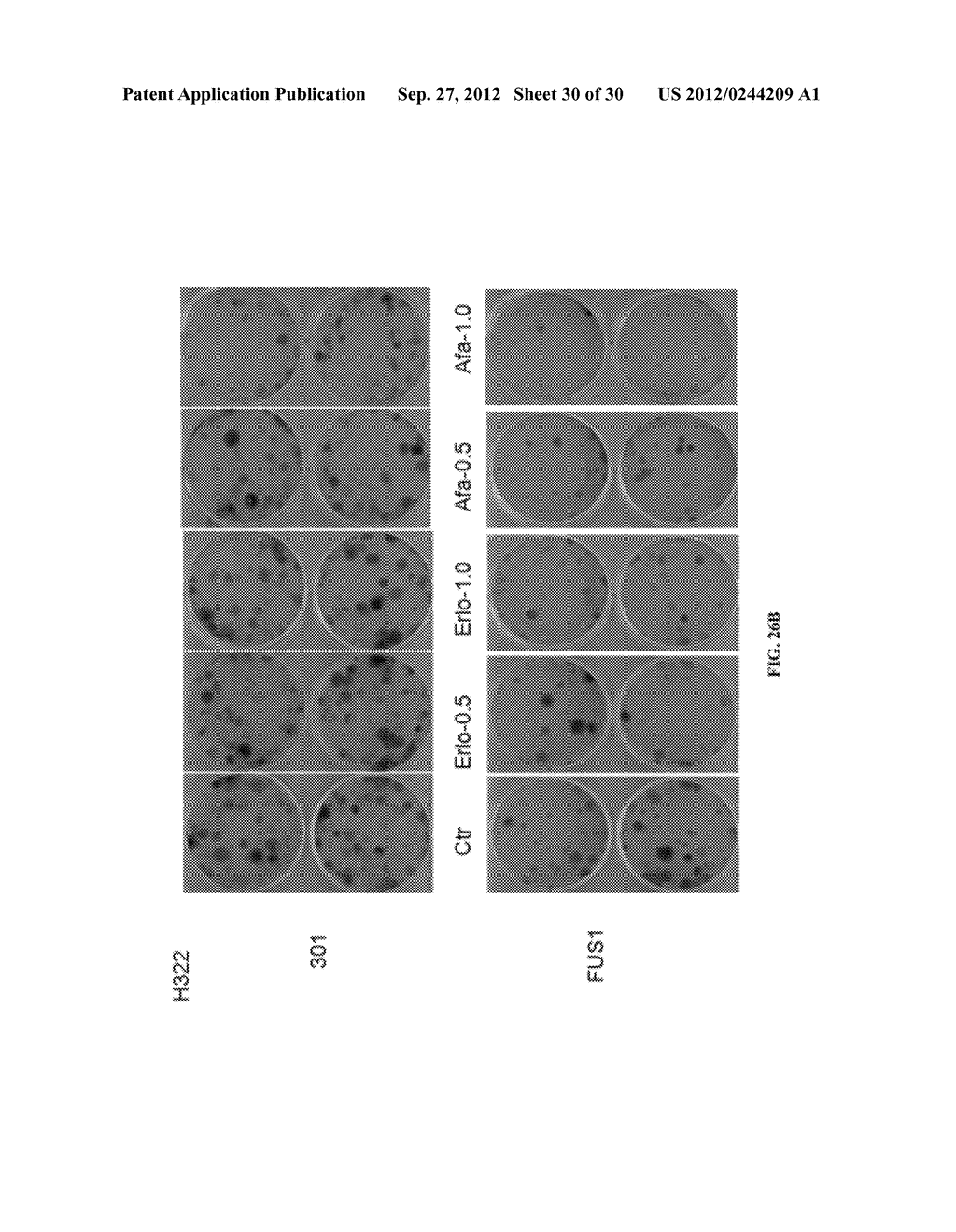 TUSC2 THERAPIES - diagram, schematic, and image 31