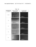 Au-Ag Core-Shell Nanorod Particles and Method for Producing Same diagram and image