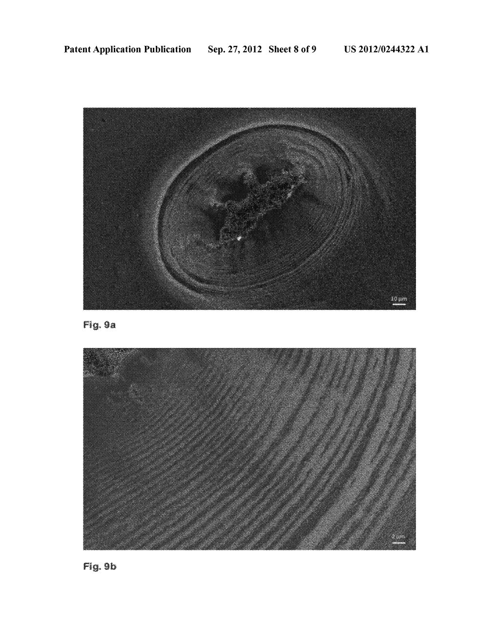 METHOD FOR SPATIALLY RESOLVED ENLARGEMENT OF NANOPARTICLES ON A SUBSTRATE     SURFACE - diagram, schematic, and image 09