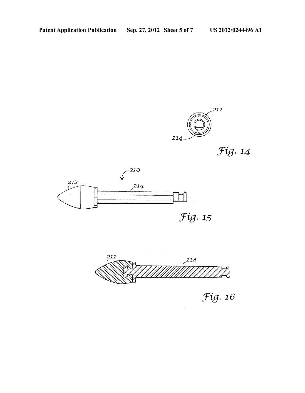 DENTAL POLISHING DEVICE AND METHOD - diagram, schematic, and image 06