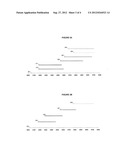 System and Method for Detection of HIV Integrase Variants diagram and image