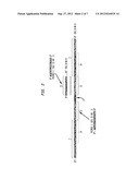 Oligonucleotide Adapters: Compositions and Methods of Use diagram and image