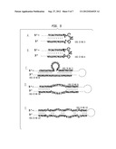 Oligonucleotide Adapters: Compositions and Methods of Use diagram and image