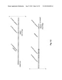 Susceptibility Genes for Age-Related Maculopathy (ARM) on Chromosome 10q26 diagram and image