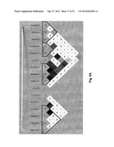 Susceptibility Genes for Age-Related Maculopathy (ARM) on Chromosome 10q26 diagram and image