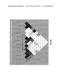 Susceptibility Genes for Age-Related Maculopathy (ARM) on Chromosome 10q26 diagram and image