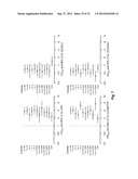 Susceptibility Genes for Age-Related Maculopathy (ARM) on Chromosome 10q26 diagram and image