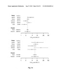 Susceptibility Genes for Age-Related Maculopathy (ARM) on Chromosome 10q26 diagram and image