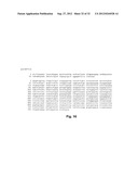 Susceptibility Genes for Age-Related Maculopathy (ARM) on Chromosome 10q26 diagram and image