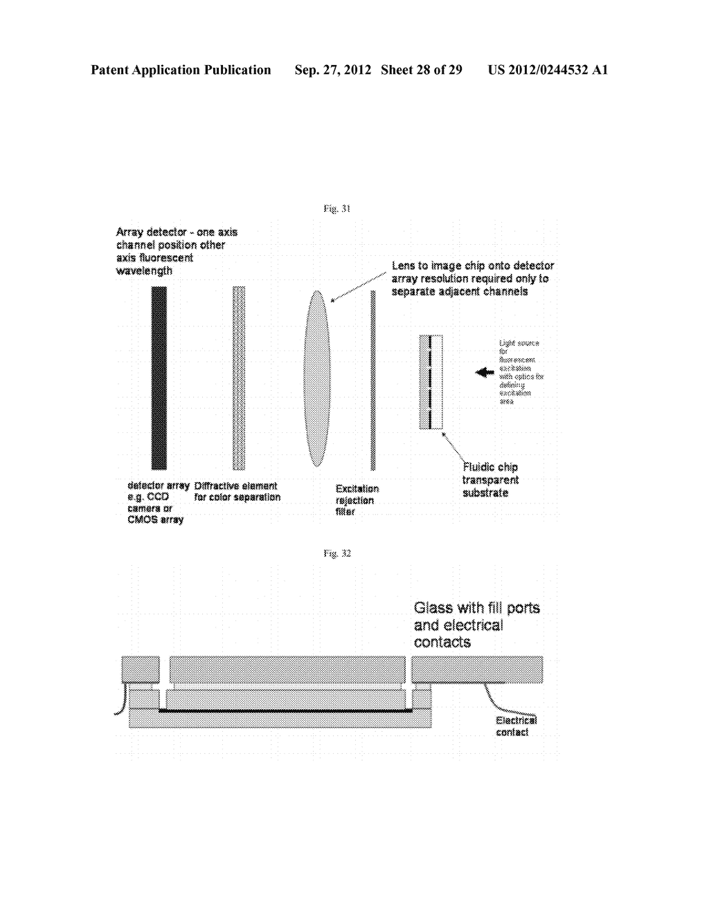 Device and Methods for Epigenetic Analysis - diagram, schematic, and image 29