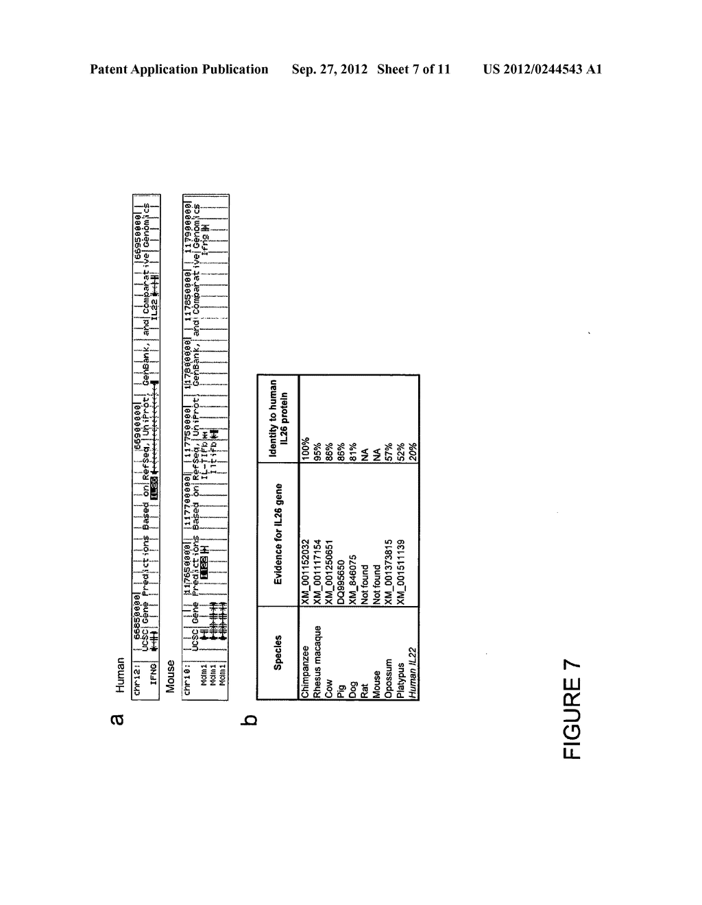 METHODS FOR IN VITRO DIFFERENTIATION OF TH-17+ CELLS - diagram, schematic, and image 08