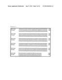 METHOD FOR DETECTING MICROORGANISMS BELONGING TO MYCOPLASMA PNEUMONIAE     AND/OR MYCOPLASMA GENITALIUM diagram and image