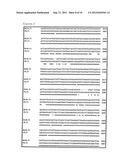 METHOD FOR DETECTING MICROORGANISMS BELONGING TO MYCOPLASMA PNEUMONIAE     AND/OR MYCOPLASMA GENITALIUM diagram and image