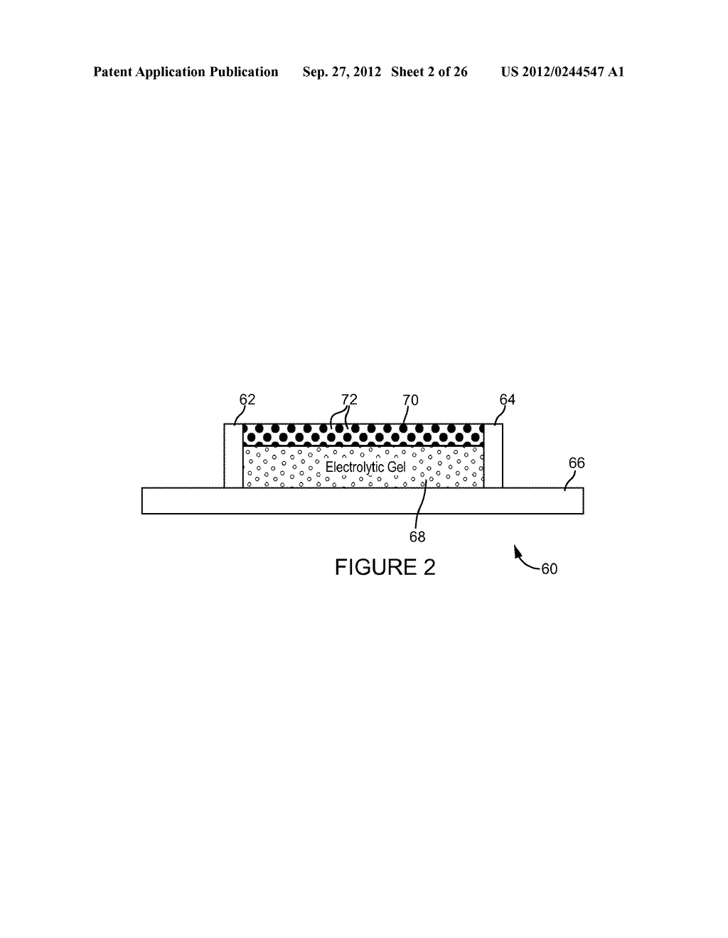 BIOSENSOR - diagram, schematic, and image 03