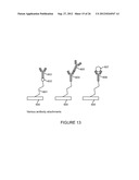 BIOSENSOR diagram and image