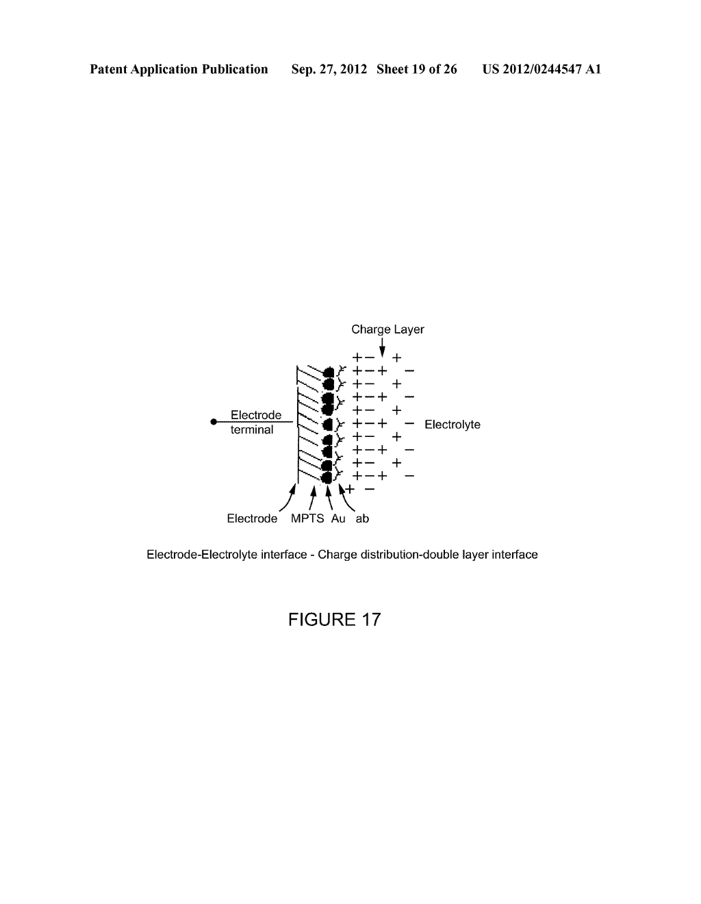 BIOSENSOR - diagram, schematic, and image 20