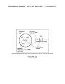 BIOSENSOR diagram and image