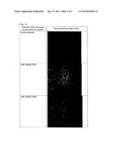 MONOCLONAL ANTIBODY AGAINST HUMAN HIG-1 POLYPEPTIDE diagram and image