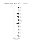 METHOD OF DETECTING PANCREATIC CANCER diagram and image