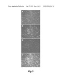 HUMAN EMBRYONIC STEM CELLS FOR HIGH THROUGHOUT DRUG SCREENING diagram and image