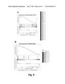 HUMAN EMBRYONIC STEM CELLS FOR HIGH THROUGHOUT DRUG SCREENING diagram and image