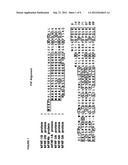 ISOLATED A-TYPE FHF N-TERMINAL DOMAIN PEPTIDES AND METHODS OF USE diagram and image