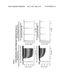 ISOLATED A-TYPE FHF N-TERMINAL DOMAIN PEPTIDES AND METHODS OF USE diagram and image