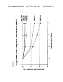 ISOLATED A-TYPE FHF N-TERMINAL DOMAIN PEPTIDES AND METHODS OF USE diagram and image