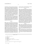 ISOLATED A-TYPE FHF N-TERMINAL DOMAIN PEPTIDES AND METHODS OF USE diagram and image