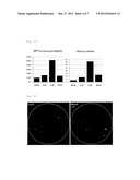 COMPOSITION FOR PROMOTING DIFFERENTIATION OF PLURIPOTENT STEM CELLS INTO     CARDIAC MUSCLE CELLS WHICH COMPRISES NITROVIN diagram and image