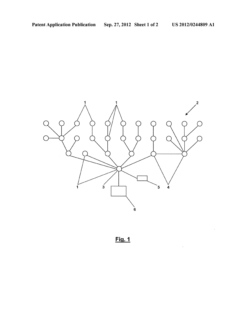 WIRELESS COMMUNICATION NETWORK BETWEEN PARTICIPANTS OF AN ASSIMILATION     STEP - diagram, schematic, and image 02