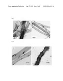 High aspect ratio nanoscale multifunctional materials diagram and image