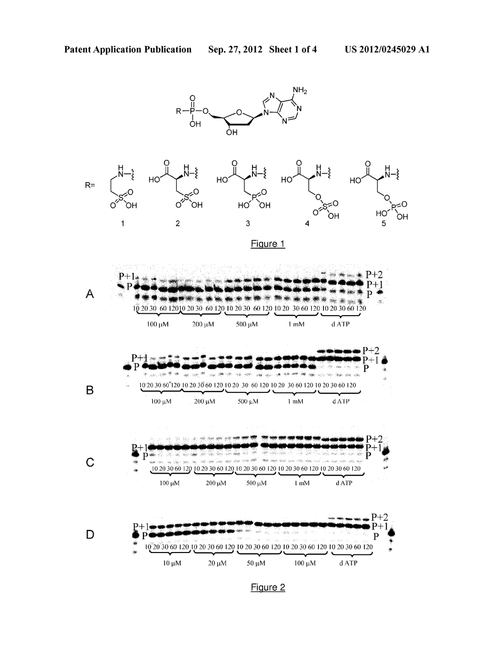 NOVEL PHOSPH(ON)ATE- AND SULF(ON)ATE-BASED PHOSPHATE MODIFIED NUCLEOSIDES     USEFUL AS SUBSTRATES FOR POLYMERASES AND AS ANTIVIRAL AGENTS - diagram, schematic, and image 02