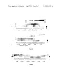 NOVEL PHOSPH(ON)ATE- AND SULF(ON)ATE-BASED PHOSPHATE MODIFIED NUCLEOSIDES     USEFUL AS SUBSTRATES FOR POLYMERASES AND AS ANTIVIRAL AGENTS diagram and image