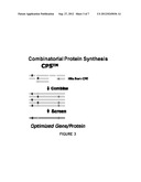 SIMULTANEOUS, INTEGRATED SELECTION AND EVOLUTION OF ANTIBODY/PROTEIN     PERFORMANCE AND EXPRESSION IN PRODUCTION HOSTS diagram and image