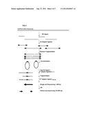 RESTRICTION ENZYME BASED WHOLE GENOME SEQUENCING diagram and image