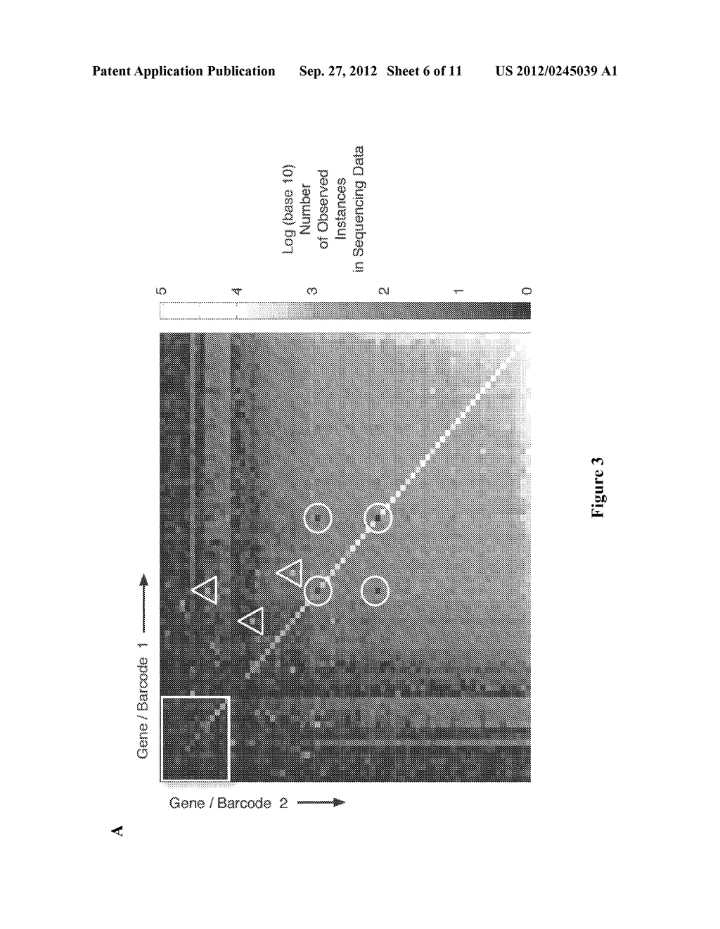 Entangled Mate Sequencing - diagram, schematic, and image 07