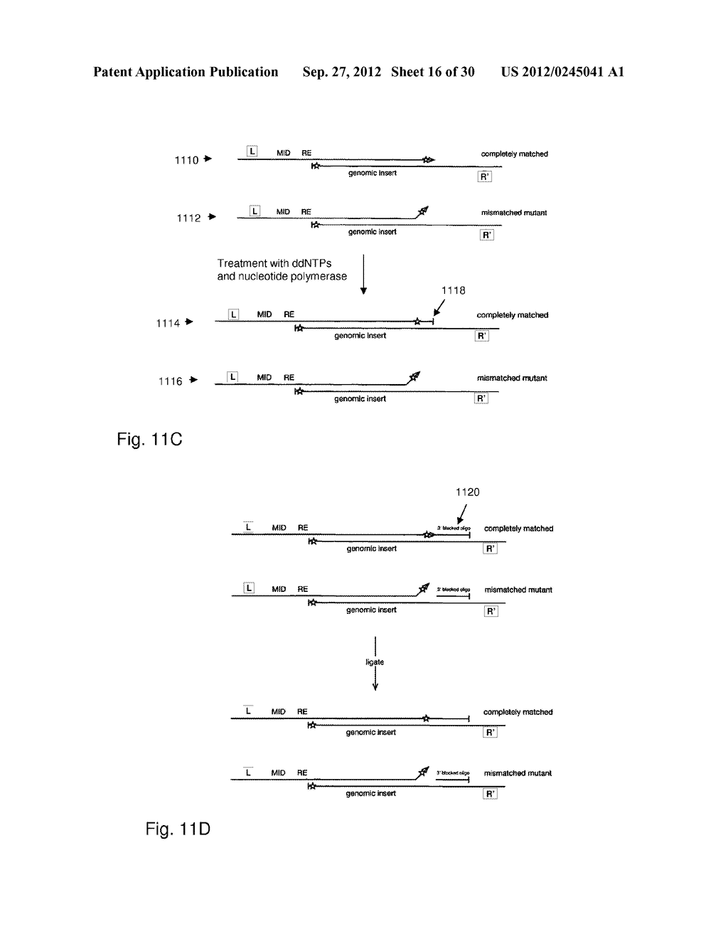 BASE-BY-BASE MUTATION SCREENING - diagram, schematic, and image 17