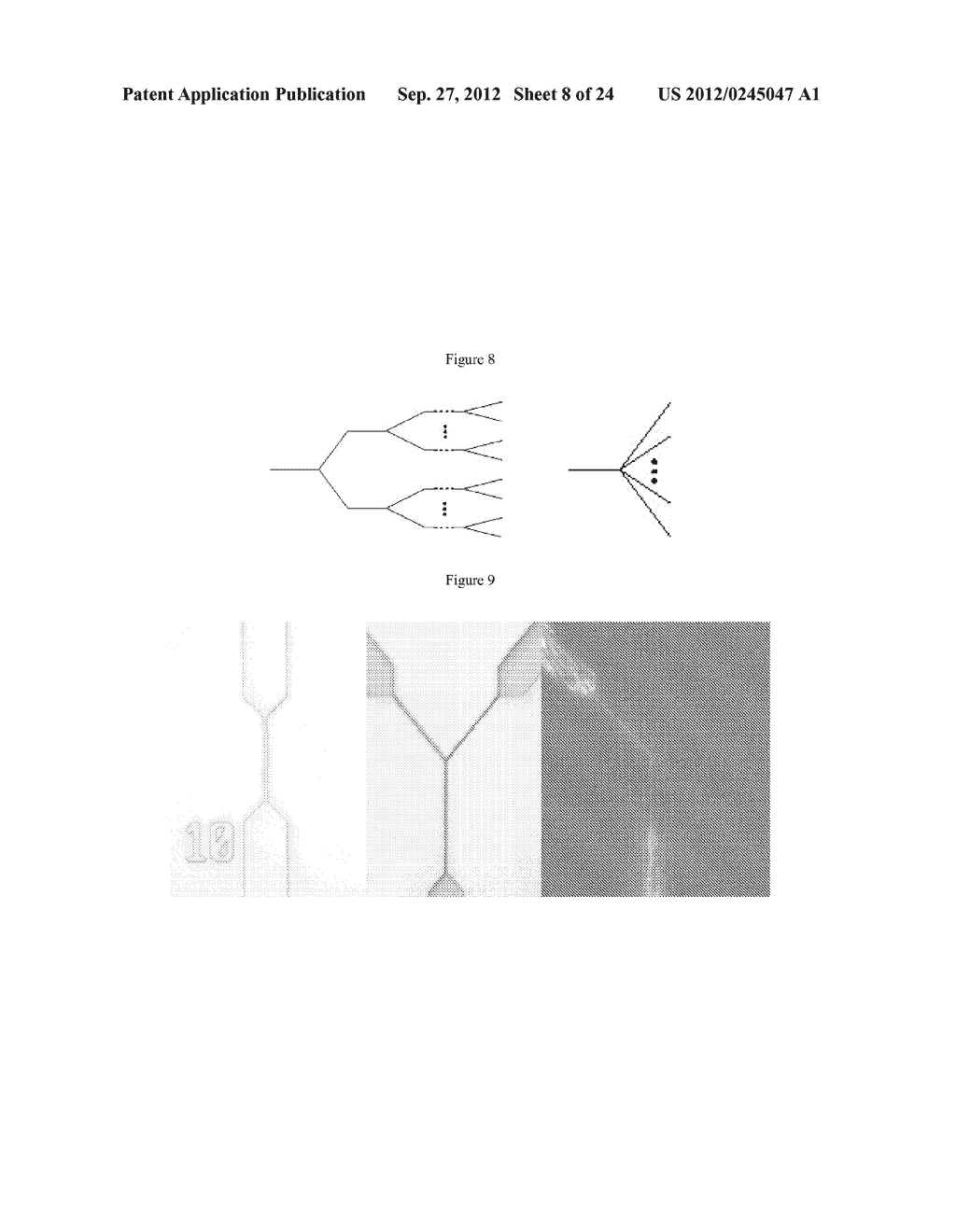 DEVICE AND METHODS FOR MOLECULAR ANALYSIS - diagram, schematic, and image 09