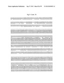 SYSTEM AND METHOD FOR ANALYZING DNA MIXTURES diagram and image