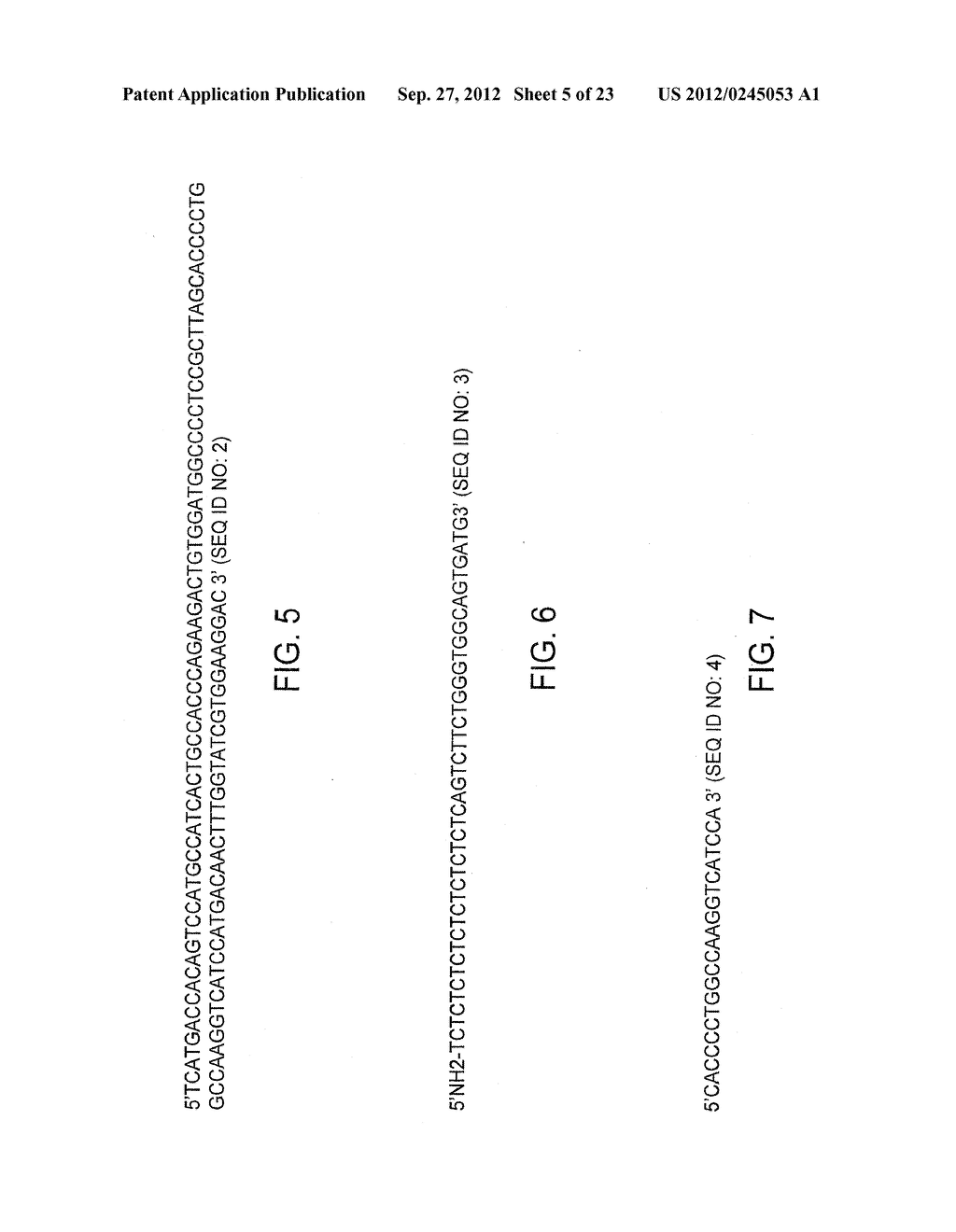 GENE EXPRESSION ANALYSIS METHOD USING TWO DIMENSIONAL cDNA LIBRARY - diagram, schematic, and image 06