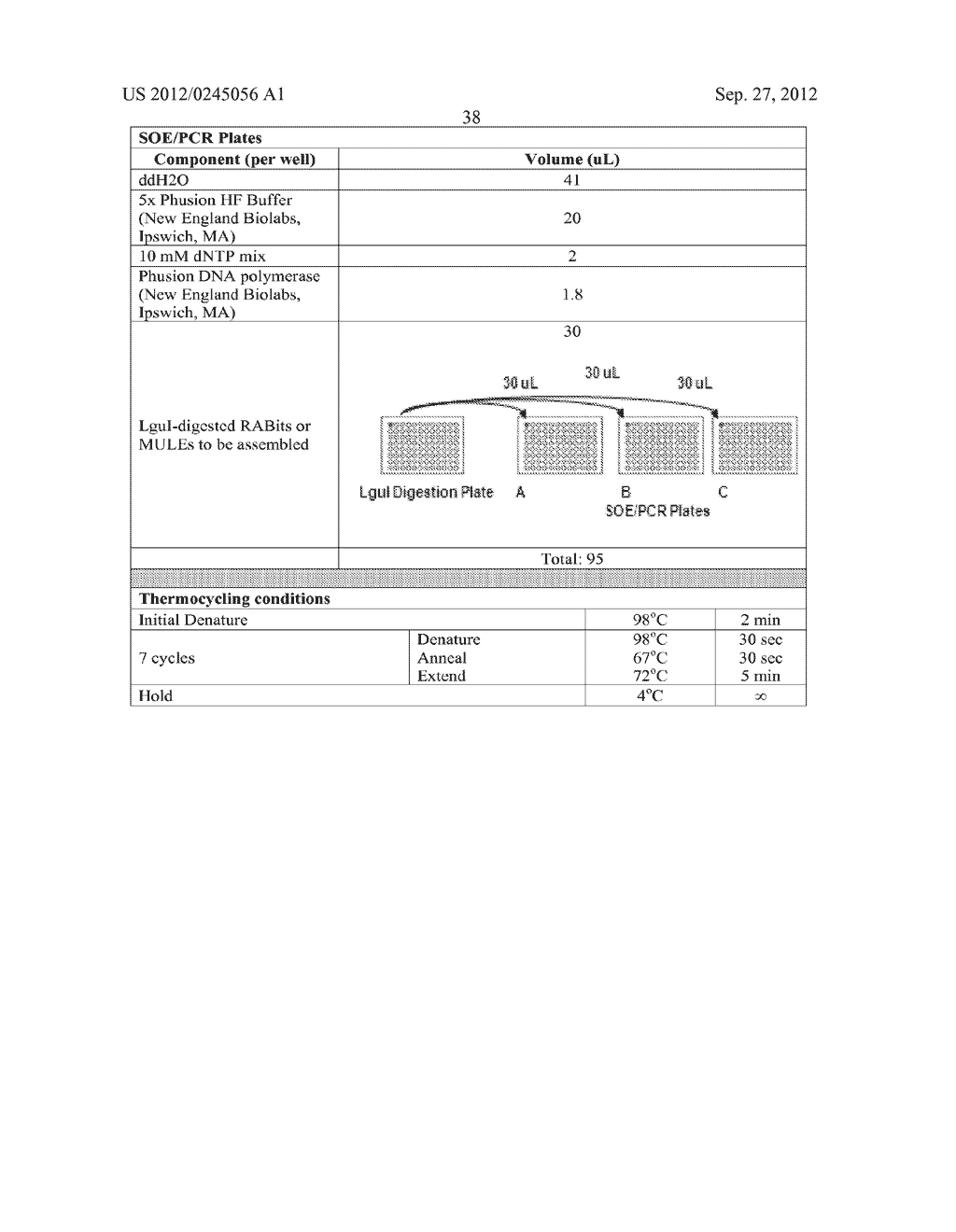 COMPOSITIONS AND METHODS FOR THE SAME ASSEMBLY OF POLYNUCLEOTIDES - diagram, schematic, and image 56