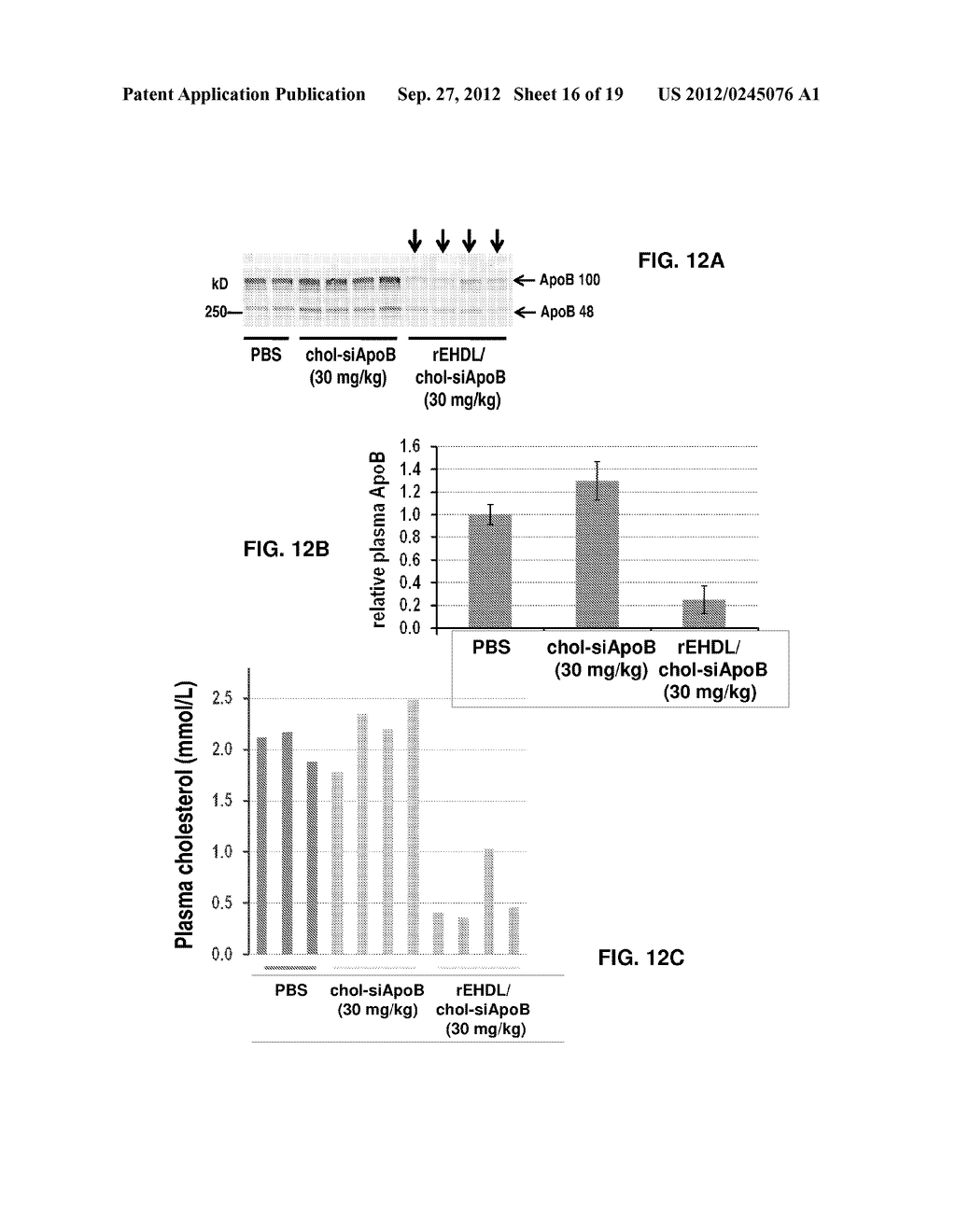 COMPOSITIONS AND METHODS FOR DELIVERING RNAI USING APOE - diagram, schematic, and image 17