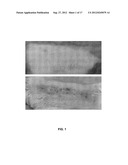 Treatment of Diseases Caused by Bacterial Exotoxins diagram and image